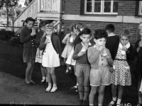 World School Milk Day