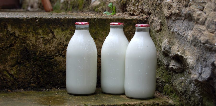 Organic Milk in Glass Bottle, Eco-Friendly