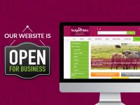 THE FOULGER’S DAIRY WEBSITE IS BACK!