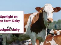 SPOTLIGHT ON FEN FARM DAIRY