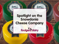 Spotlight on the Snowdonia Cheese Company