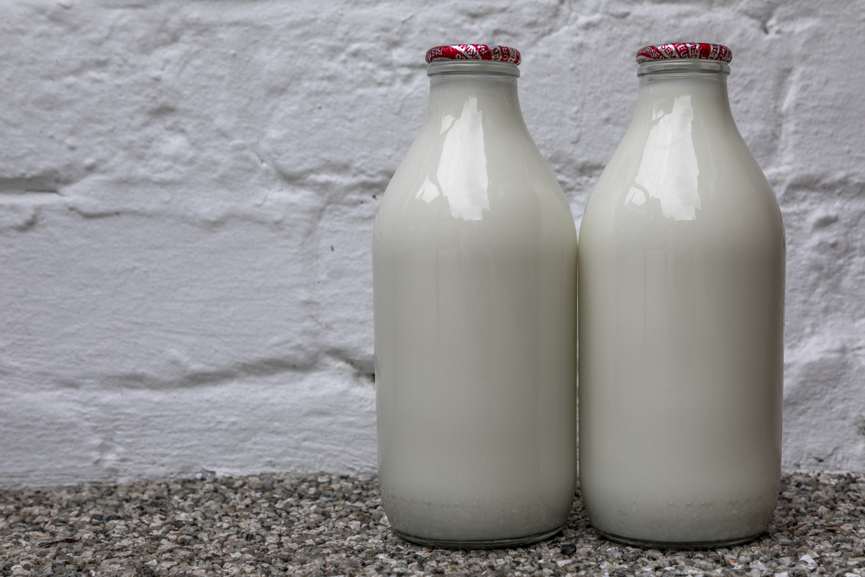 Why Choose a Wholesaler Milk Delivery Service