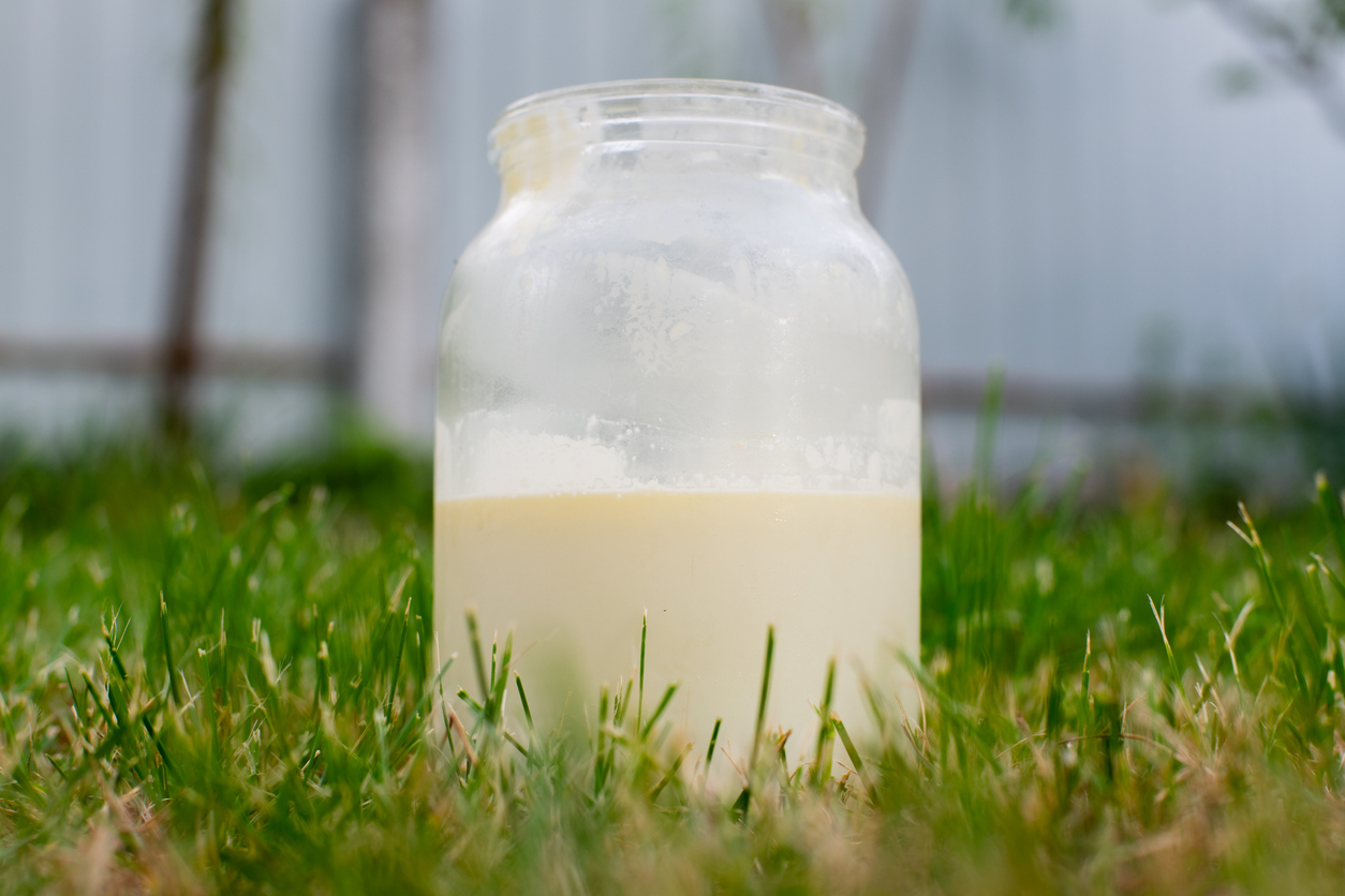 What Is Raw Milk? Read our blog to find out more information about raw milk, to help you make an informed choice.